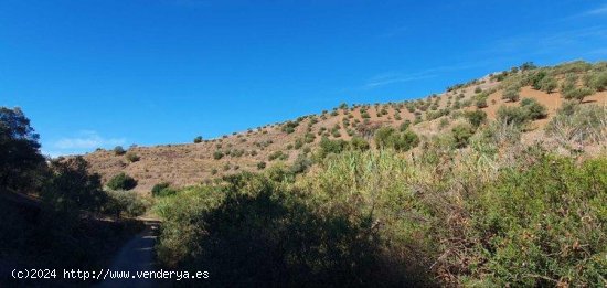 Finca en venta en Totalán (Málaga)