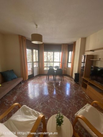 Apartamento en alquiler en Granada (Granada)