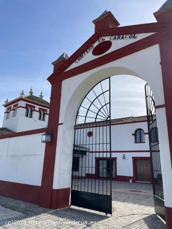 Finca en venta en La Puebla de Cazalla (Sevilla)