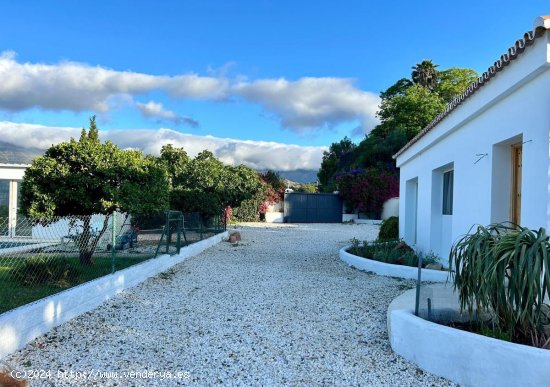 Finca en venta en Estepona (Málaga)