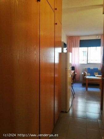 Estudio en alquiler en Granada (Granada)