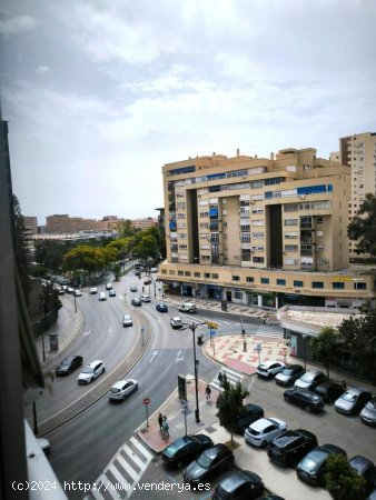 Piso en alquiler en Málaga (Málaga)