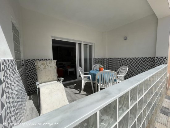  Apartamento en alquiler en Oliva (Valencia) 