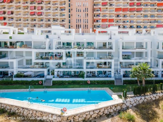  Apartamento en alquiler en Torremolinos (Málaga) 