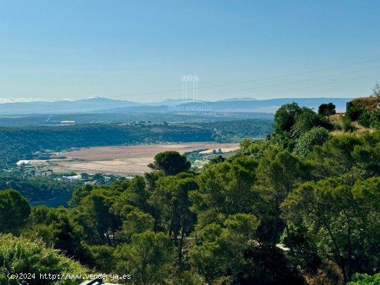 Casa en venta en Vejer de la Frontera (Cádiz)