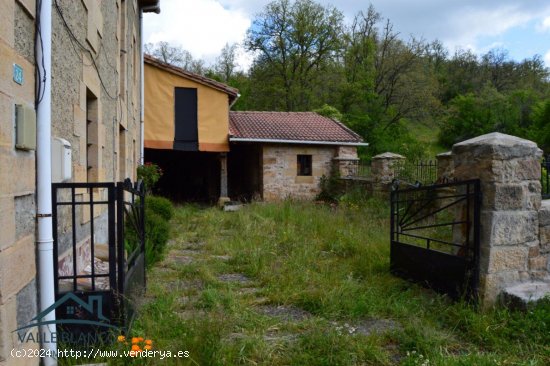 Casa en venta en Valderredible (Cantabria)