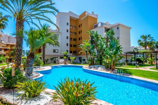  Apartamento en venta en Orihuela (Alicante) 