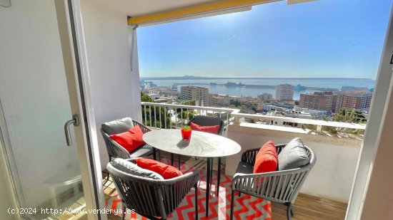 Apartamento en alquiler en Palma de Mallorca (Baleares)