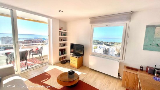 Apartamento en alquiler en Palma de Mallorca (Baleares)