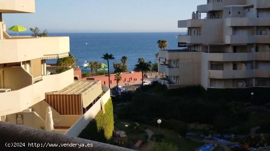 Estudio en alquiler en Benalmádena (Málaga)