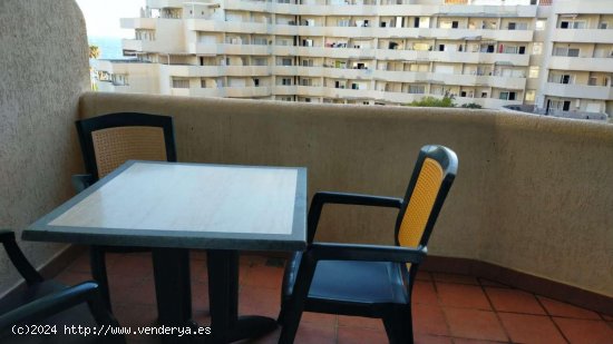 Estudio en alquiler en Benalmádena (Málaga)