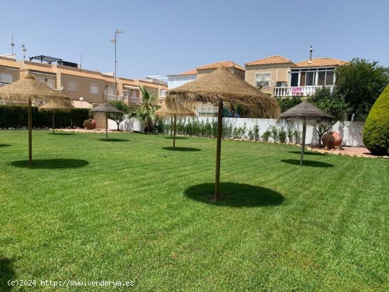 Bungalow en venta en Torrevieja (Alicante)