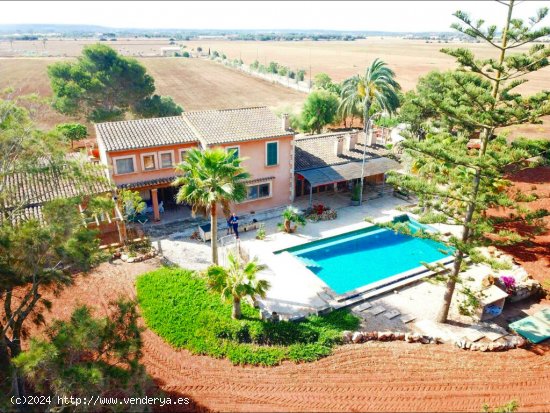 Gran finca rústica con piscina y almacenes a 5 km de la playa Es Trenc