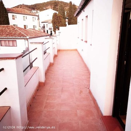 Apartamento en alquiler en Granada (Granada)