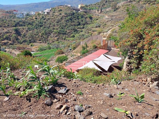 Finca en venta en Valsequillo de Gran Canaria (Las Palmas)