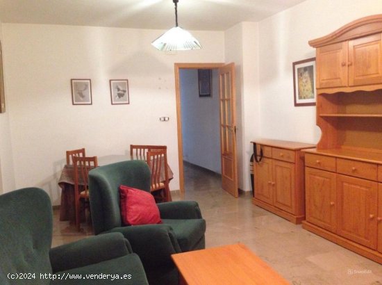 Apartamento en alquiler en Armilla (Granada)