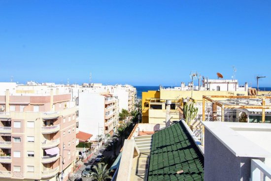 Piso en venta en Torrevieja (Alicante)