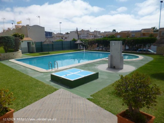 Chalet en venta en Torrevieja (Alicante)