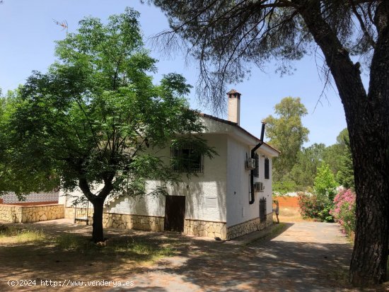 Piso en alquiler en Las Jaras (Córdoba)