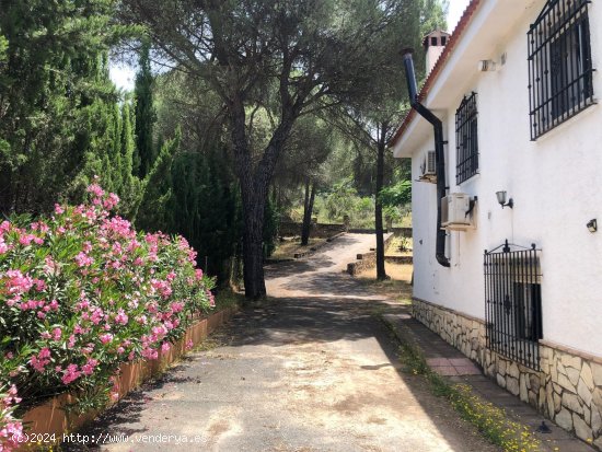 Piso en alquiler en Las Jaras (Córdoba)