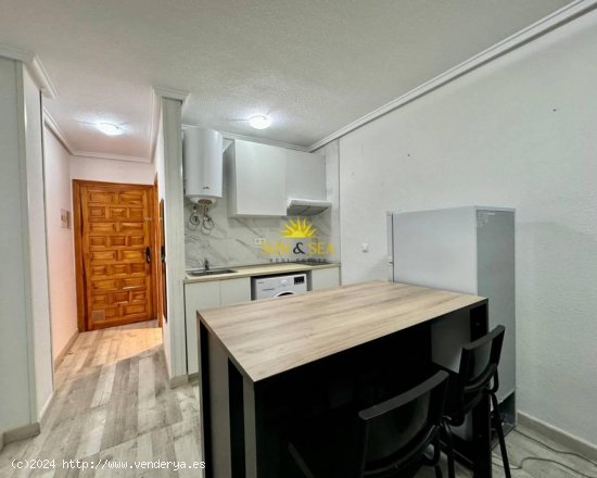 Estudio en venta en Torrevieja (Alicante)