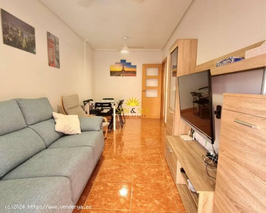 Apartamento en alquiler en Guardamar del Segura (Alicante)