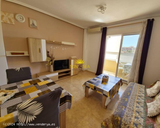 Apartamento en alquiler en Torrevieja (Alicante)