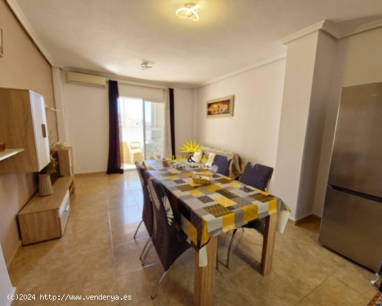 Apartamento en alquiler en Torrevieja (Alicante)