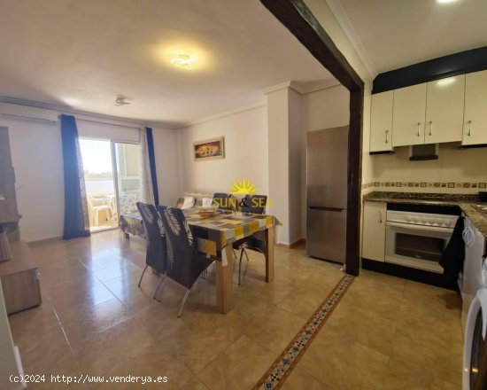 Apartamento en alquiler en Torrevieja (Alicante)