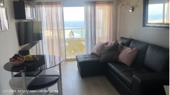 Apartamento en alquiler en Benalmádena (Málaga)