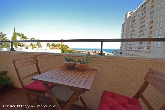  Apartamento en alquiler en Benalmádena (Málaga) 