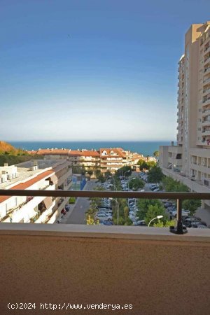 Apartamento en alquiler en Benalmádena (Málaga)