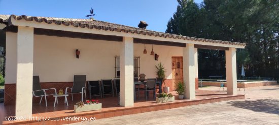 Chalet en venta en Morón de la Frontera (Sevilla)