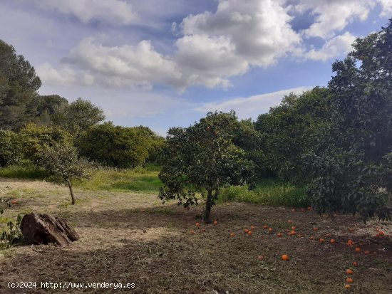 Chalet en venta en Morón de la Frontera (Sevilla)