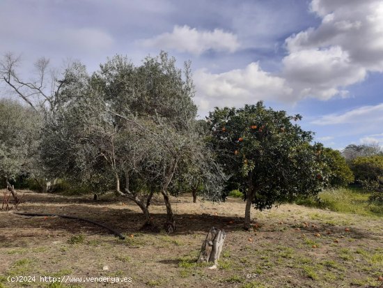 Chalet en venta en Morón de la Frontera (Sevilla)