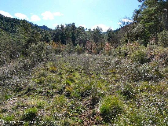 Finca en venta en Beceite (Teruel)