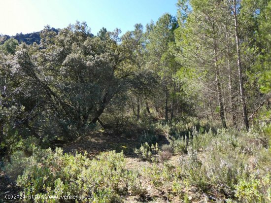 Finca en venta en Beceite (Teruel)