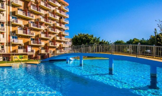 Apartamento en alquiler en Benalmádena (Málaga)