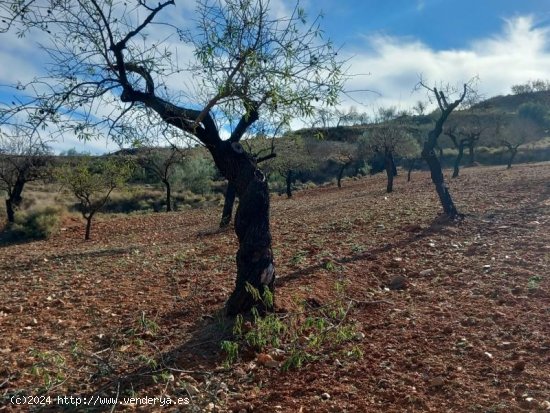 Finca en venta en Lubrín (Almería)