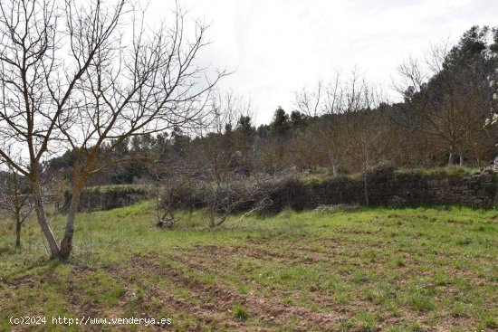 Finca en venta en Arens de Lledó (Teruel)