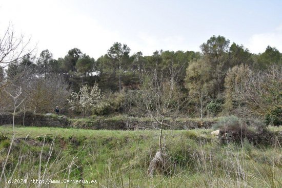 Finca en venta en Arens de Lledó (Teruel)