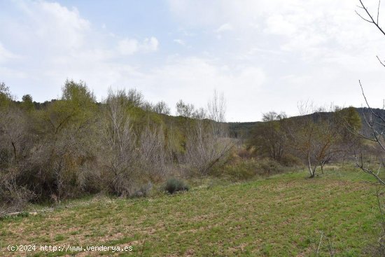 Finca en venta en Arens de Lledó (Teruel)