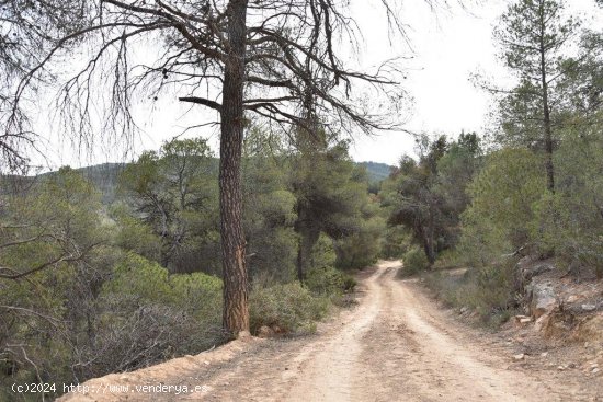 Finca en venta en Arens de Lledó (Teruel)