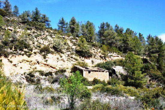 Finca en venta en Arens de Lledó (Teruel)