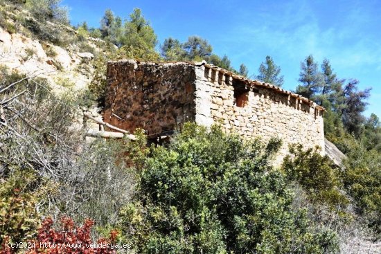 Finca en venta en Arens de Lledó (Teruel)