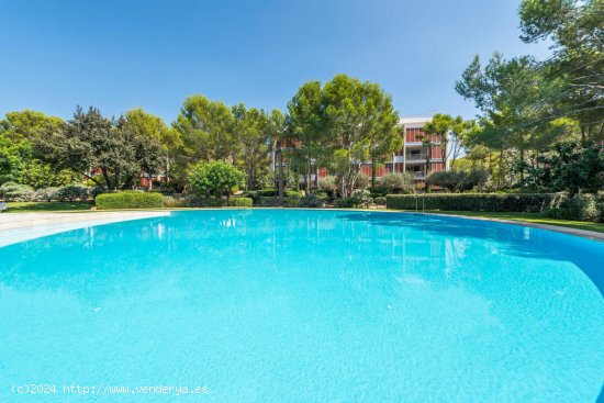 Apartamento en venta en Calvià (Baleares)