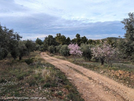 Casa en venta en Valderrobres (Teruel)