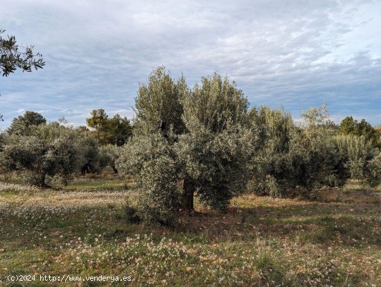 Casa en venta en Valderrobres (Teruel)