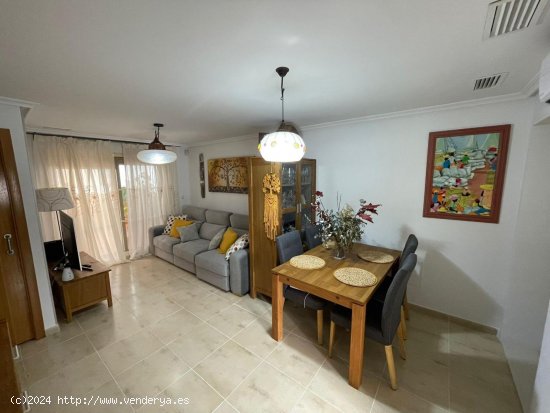 Casa en venta en Guardamar del Segura (Alicante)