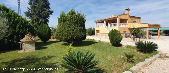 Chalet en venta en Catral (Alicante)